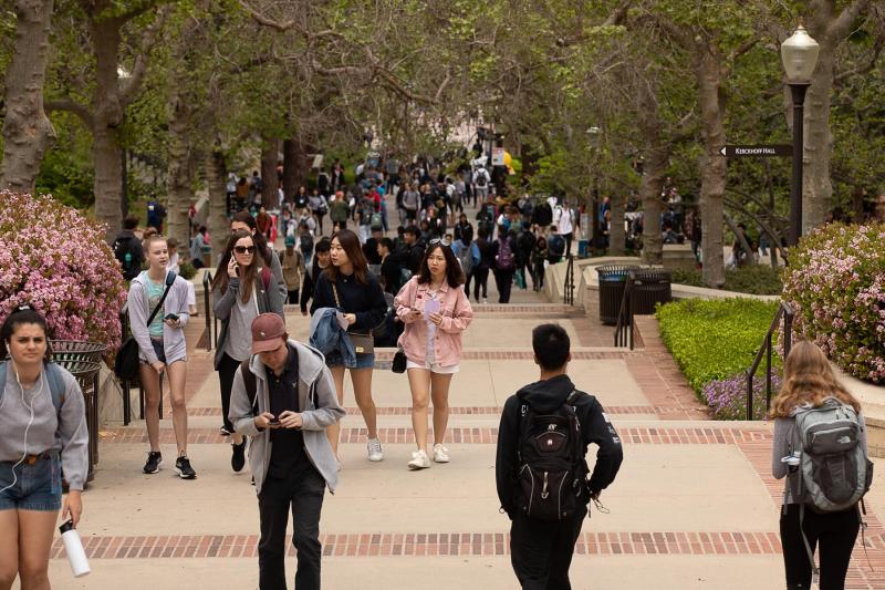 Bruin Walk